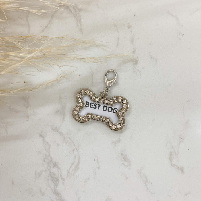 Best Dog Tag