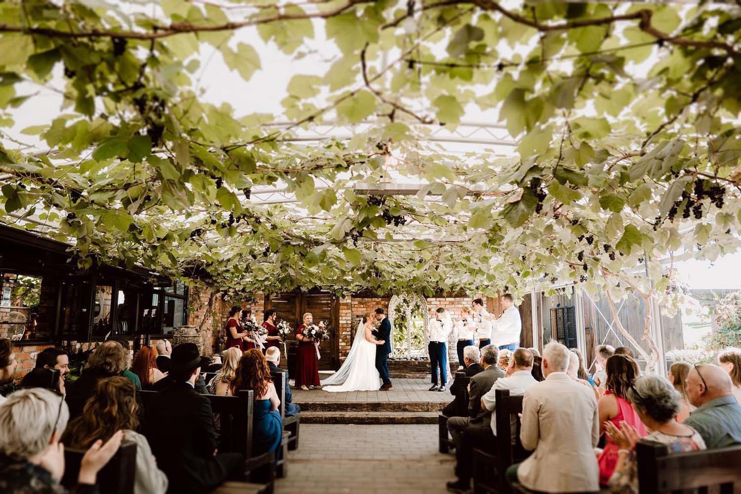 Captivating Vineyard Wedding in Waikato