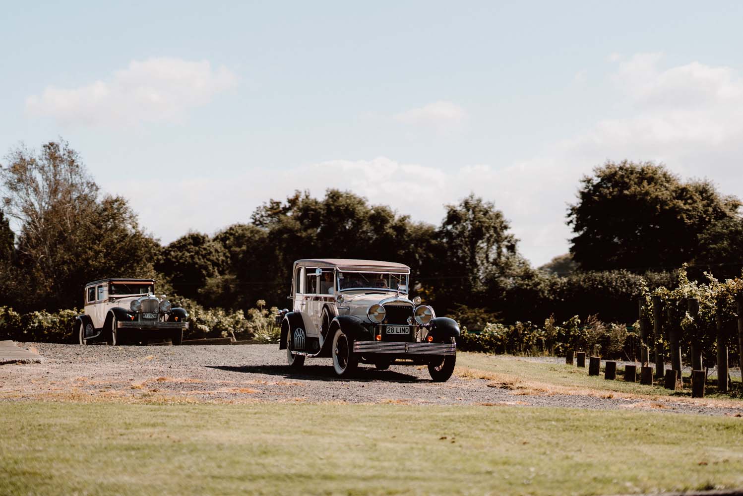 Captivating Vineyard Wedding in Waikato