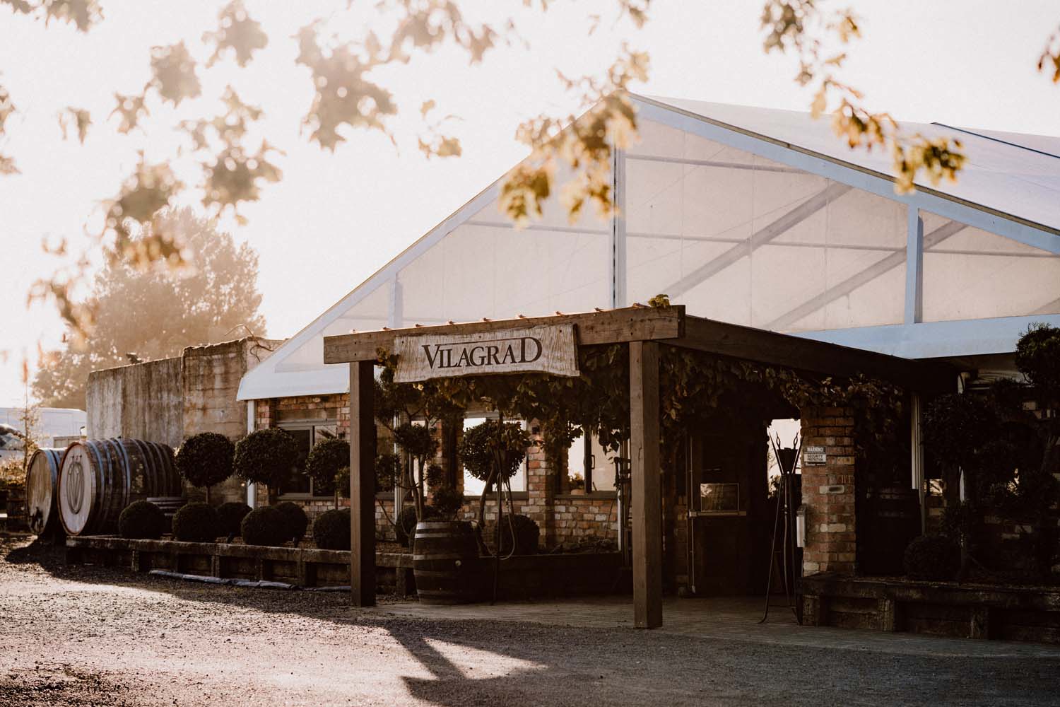 Captivating Vineyard Wedding in Waikato