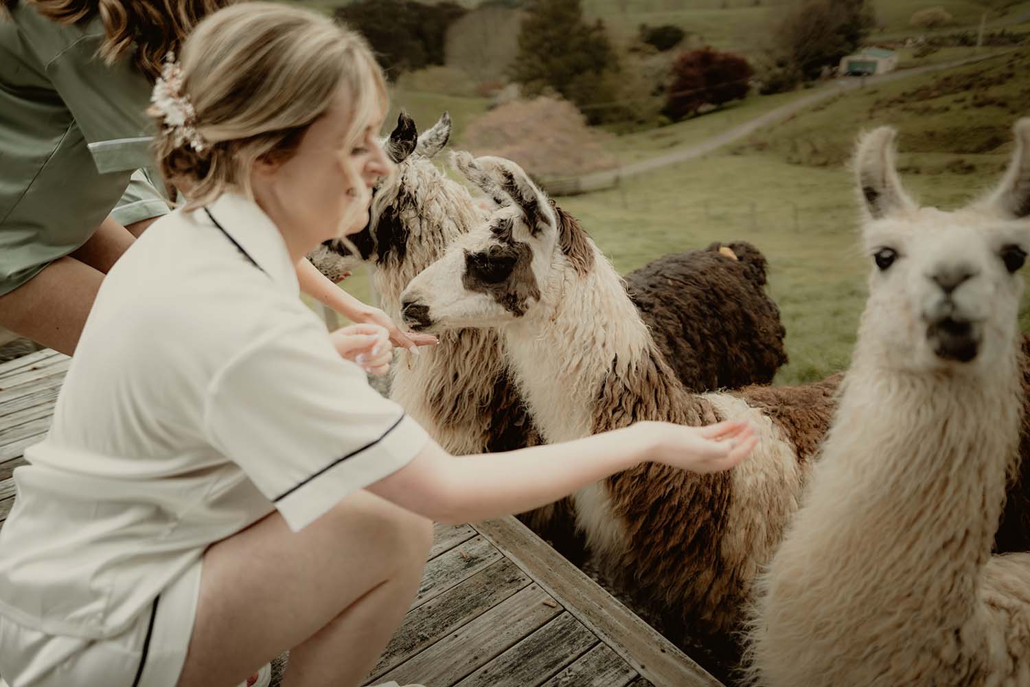Dreamy Barn Wedding in Waikato 