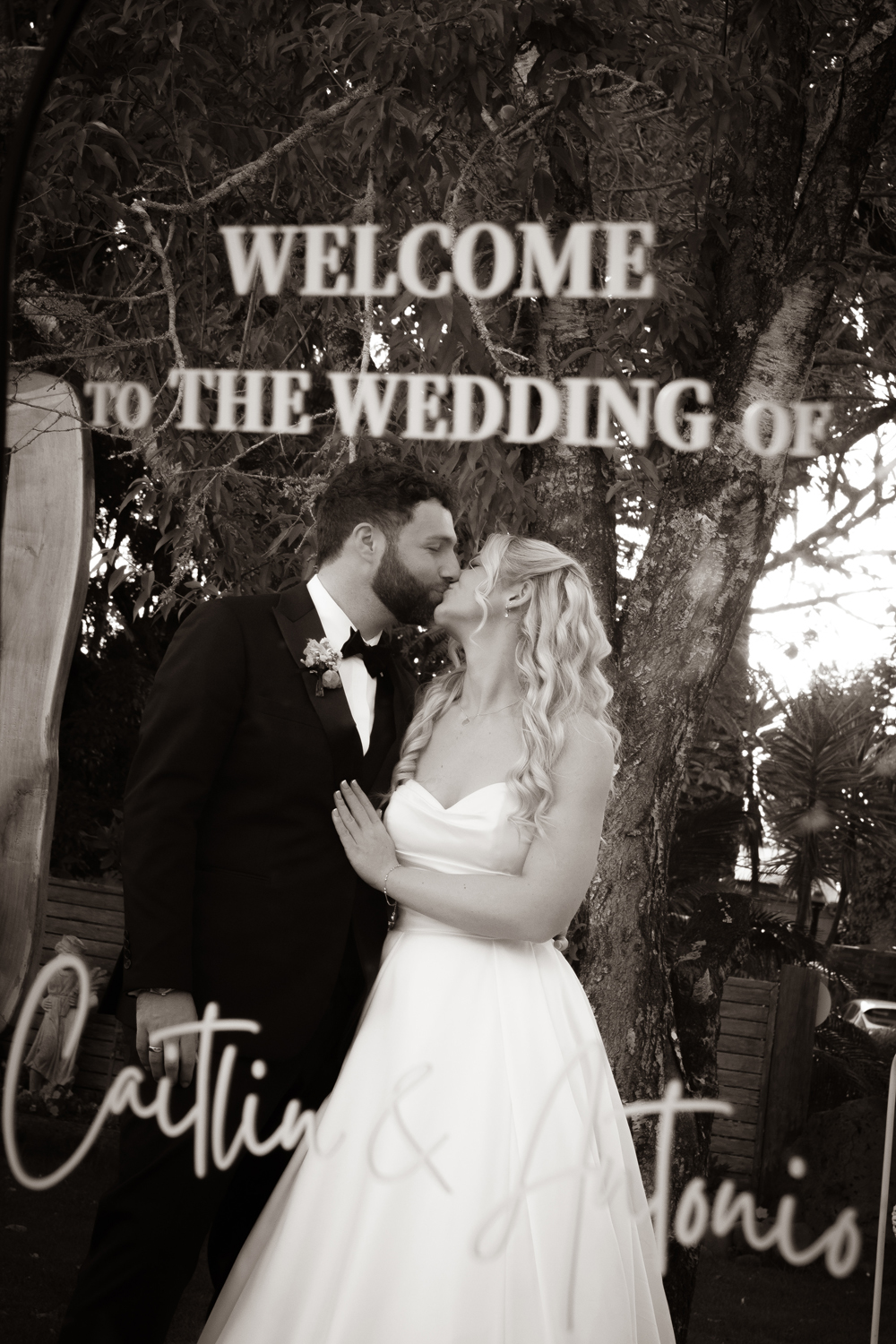 An Enchanting Estate Wedding at Markovina Vineyard