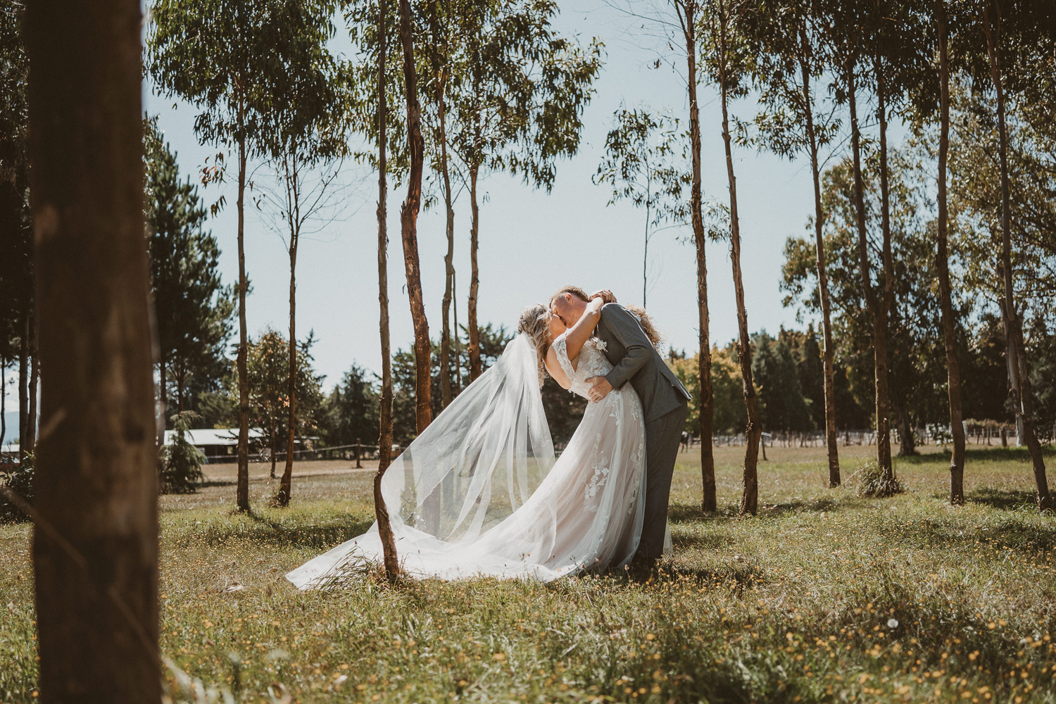 A Joyful Outdoor Wedding on the Family Farm