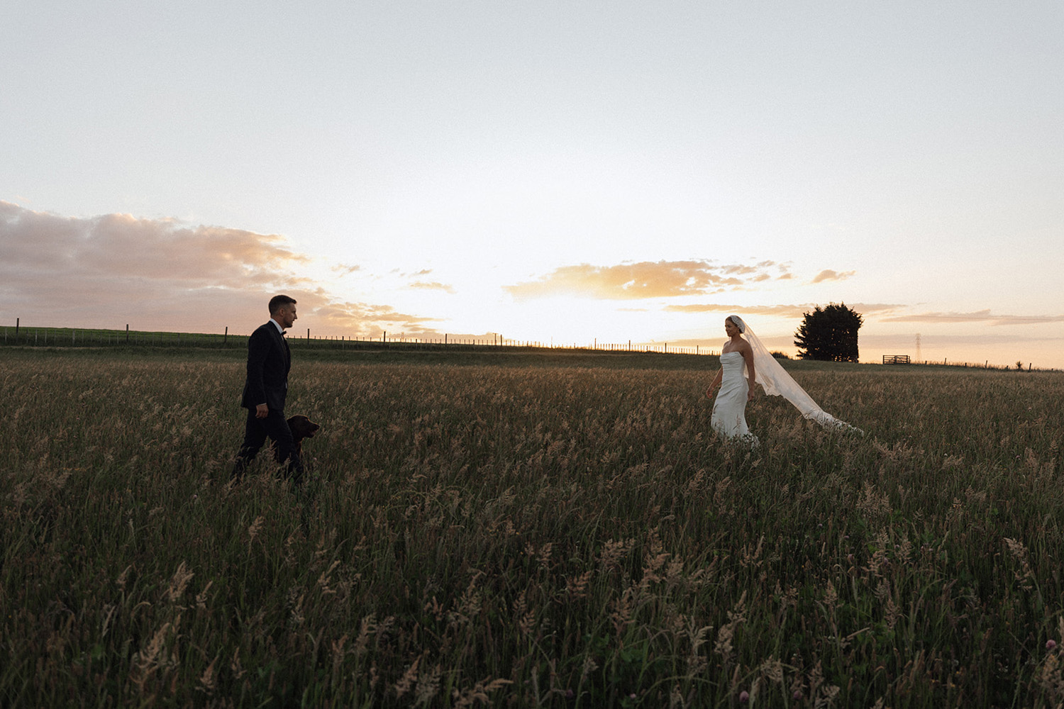 Dreamy Garden Wedding in Palmerston North