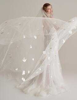 Amanda Veil