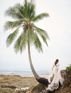 Sottero & Midgley Tanica Wedding Dress