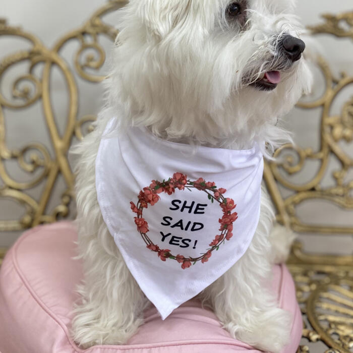 She said yes dog bandana deals