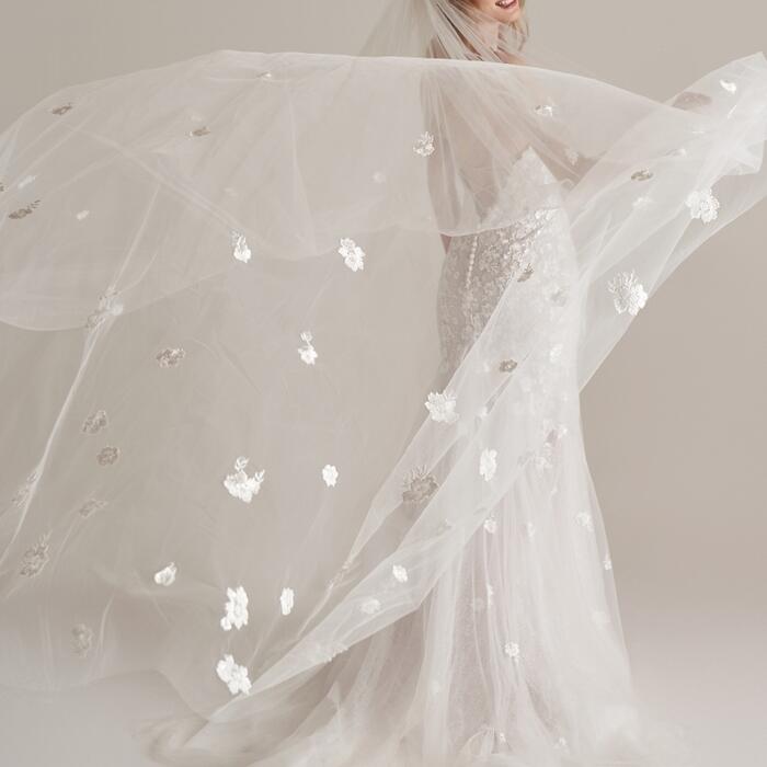 Amanda Veil