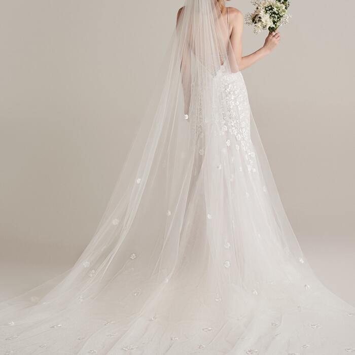 Amanda Veil